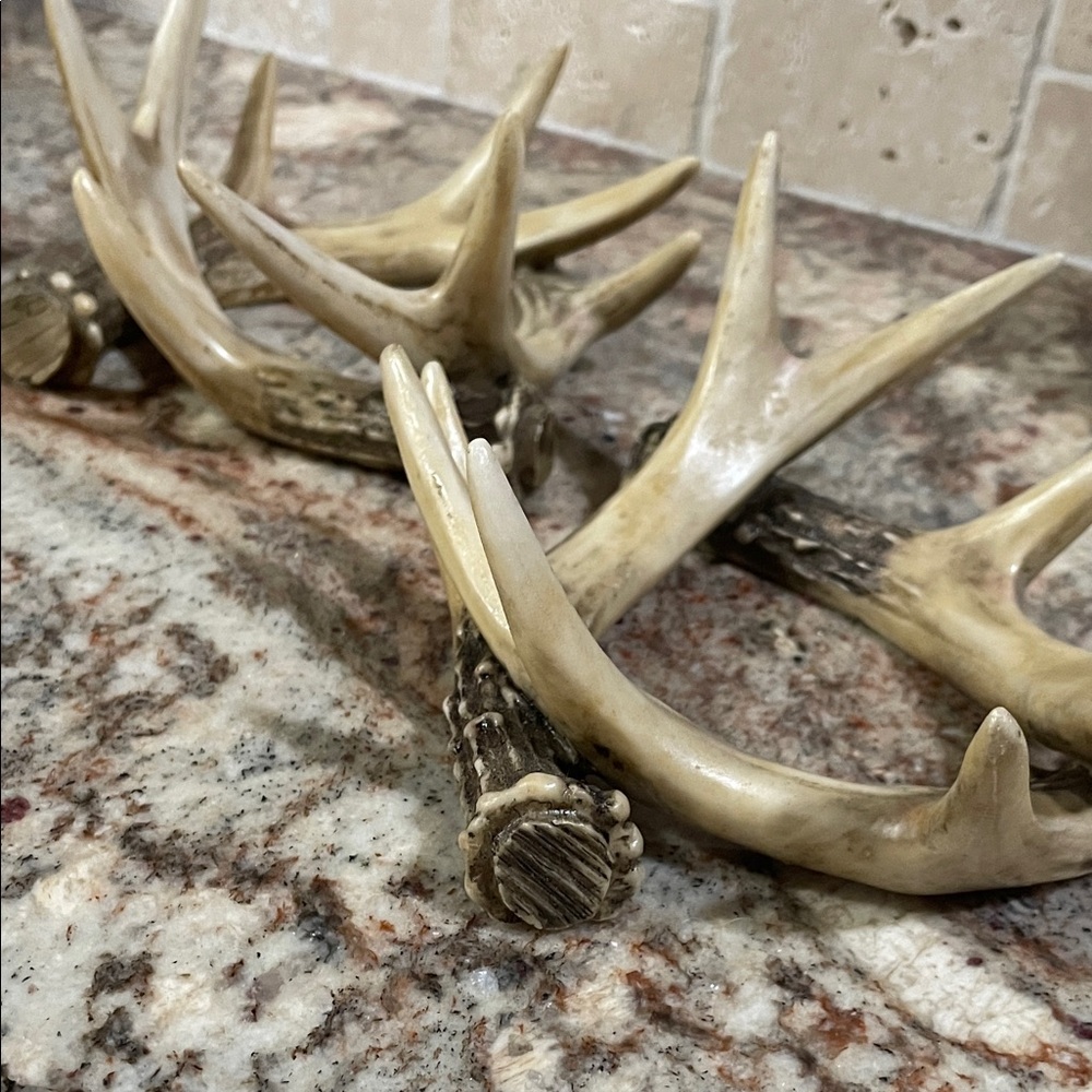 Rustic Antler Decor